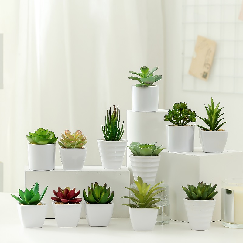 kuuma myynti keinotekoinen mehevä Melamine Potissa myyntiin
