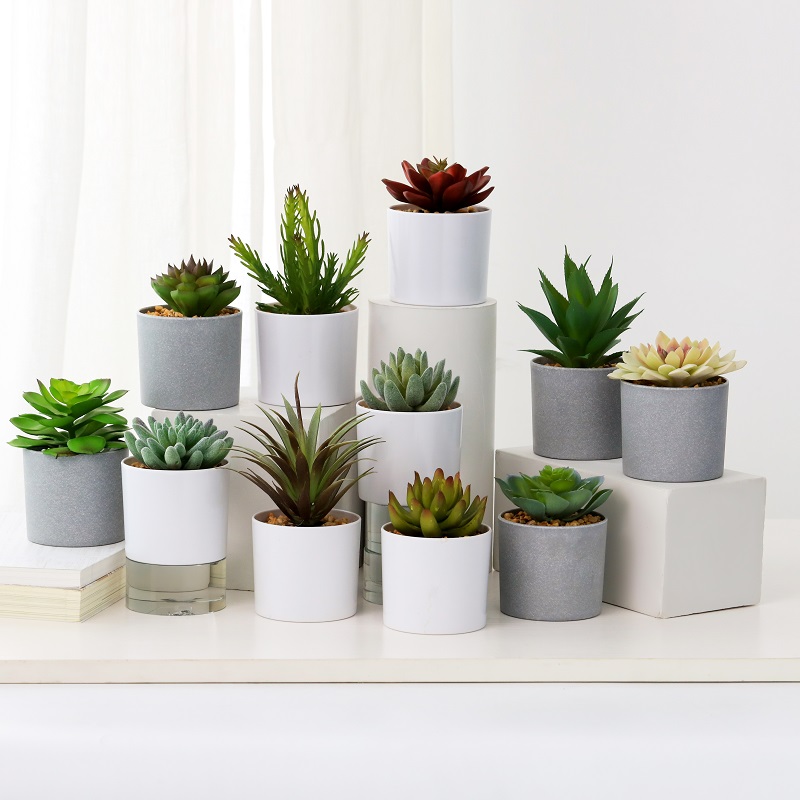 kuuma myynti keinotekoinen mehevä Melamine Potissa myyntiin